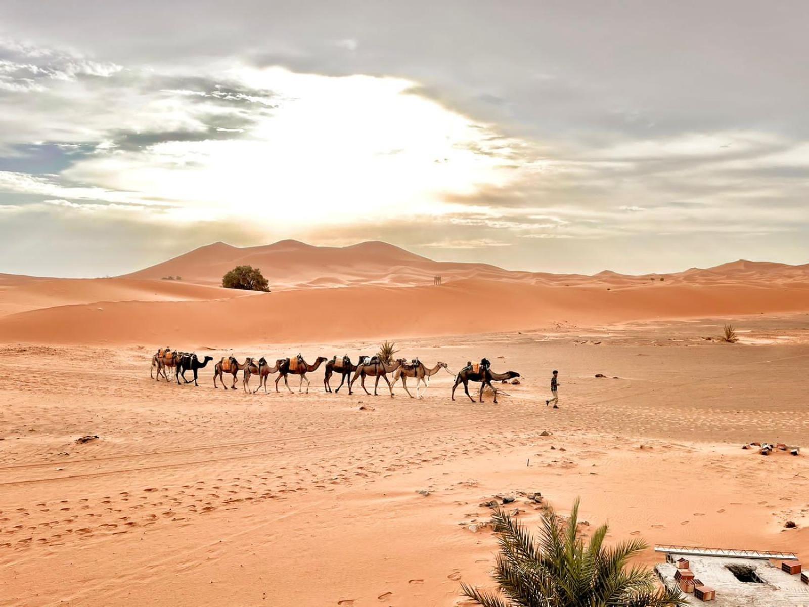 Auberge Ksar Merzouga Exterior photo